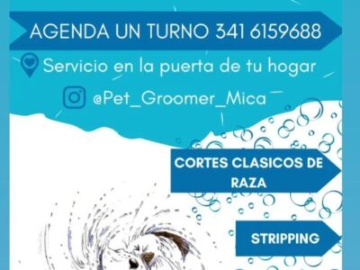 Estética para mascotas