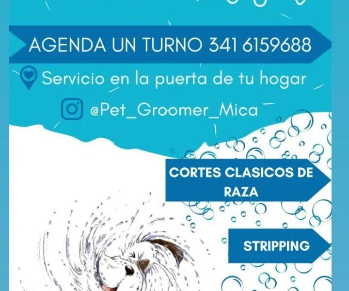 Estética para mascotas