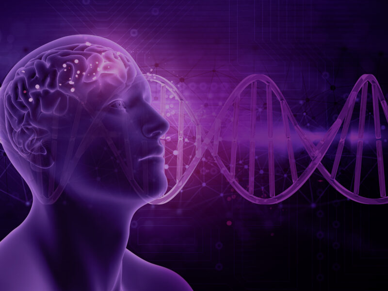 HIPNOSIS - HIPNOSIS ONLINE