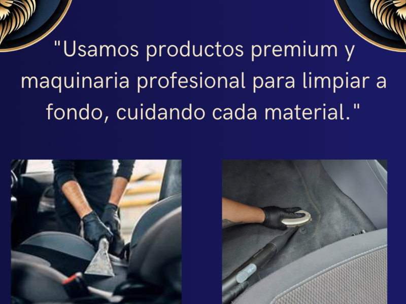 Limpieza de tapizados y alfombras rosario