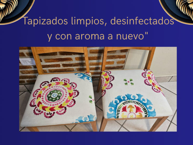 Limpieza de tapizados en Rosario