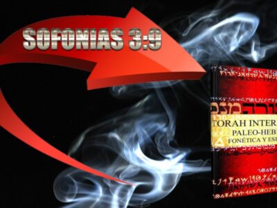 Esta Torá ha profundizado mi comprensión de Lashon HaKodesh maravillosamente. Una herramienta preciosa que trae la sagrada lengua hebrea a mi hogar. Leer la Torá en hebreo me ha conectado verdaderamente con las palabras originales y el poderoso nombre de